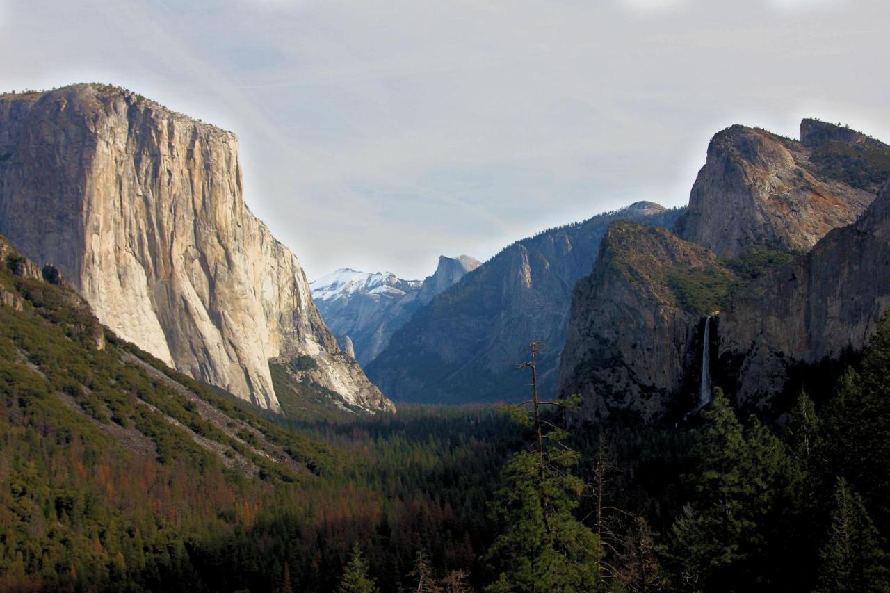 Tree House Lodge Yosemite West Exterior foto